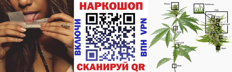 Магазины продажи наркотиков Перевоз Codein Каннабис Cocaine гидра сайт Меф мяу мяу ГАШ Галлюциногенные грибы Alpha-PVP