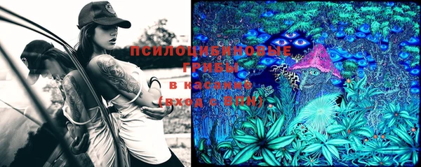 МДПВ Алзамай