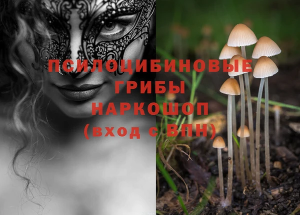 не бодяженный Алексин