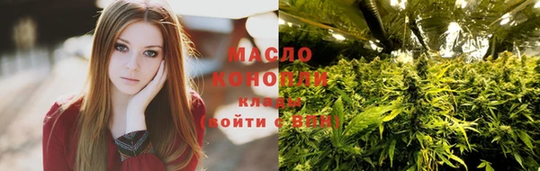 гидра Осинники