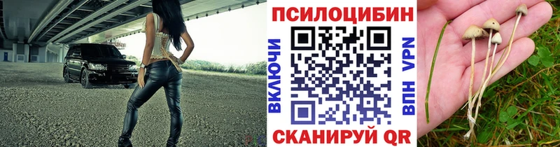 Псилоцибиновые грибы прущие грибы  Перевоз 