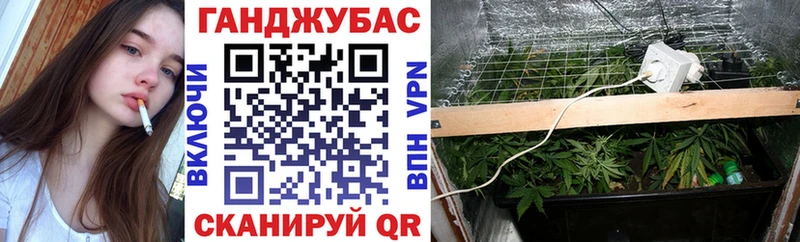 Канабис ГИДРОПОН darknet Telegram Перевоз